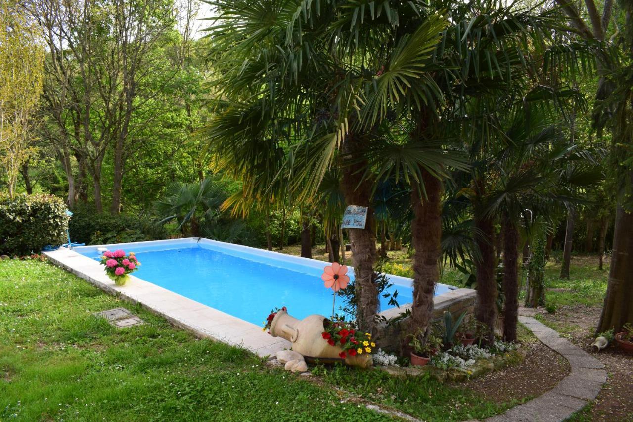 Casa Belvedere Monzambano Bagian luar foto